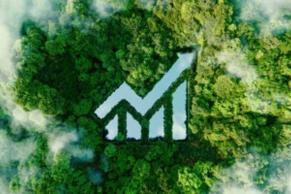 沪硅产业：产业投资基金计划减持不超3%公司股份